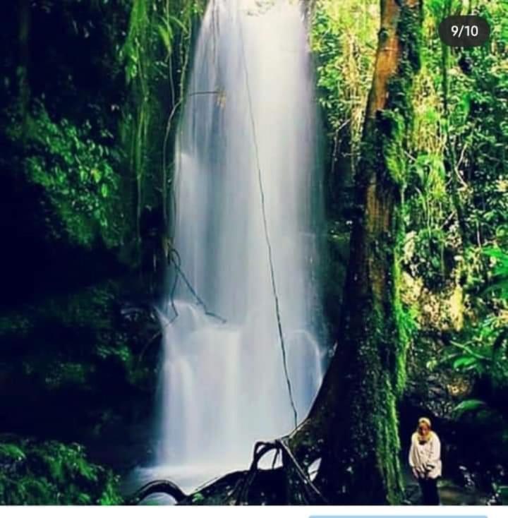 Eltari Homestay Tetebatu Buitenkant foto