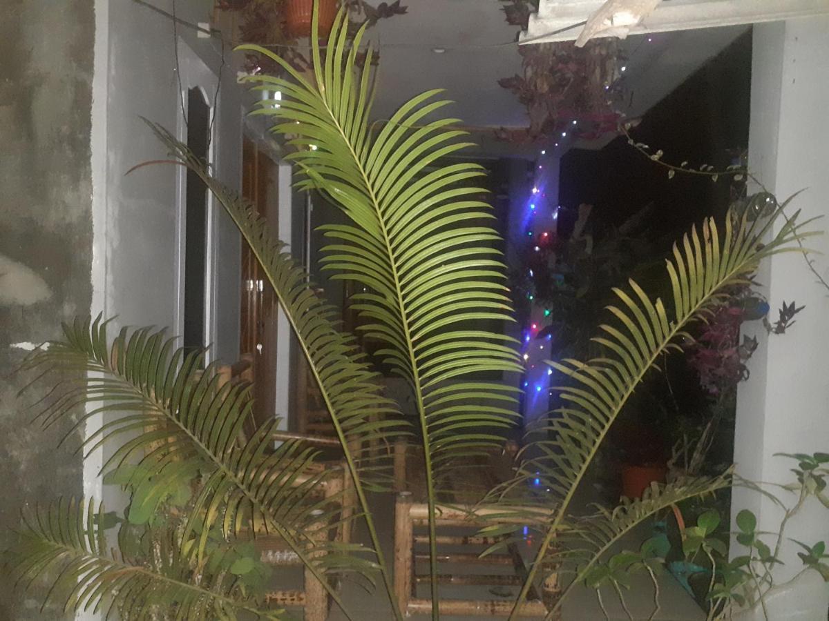 Eltari Homestay Tetebatu Buitenkant foto