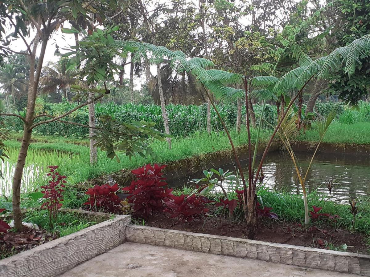 Eltari Homestay Tetebatu Buitenkant foto