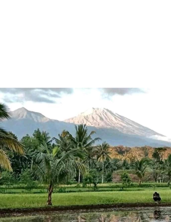 Eltari Homestay Tetebatu Buitenkant foto