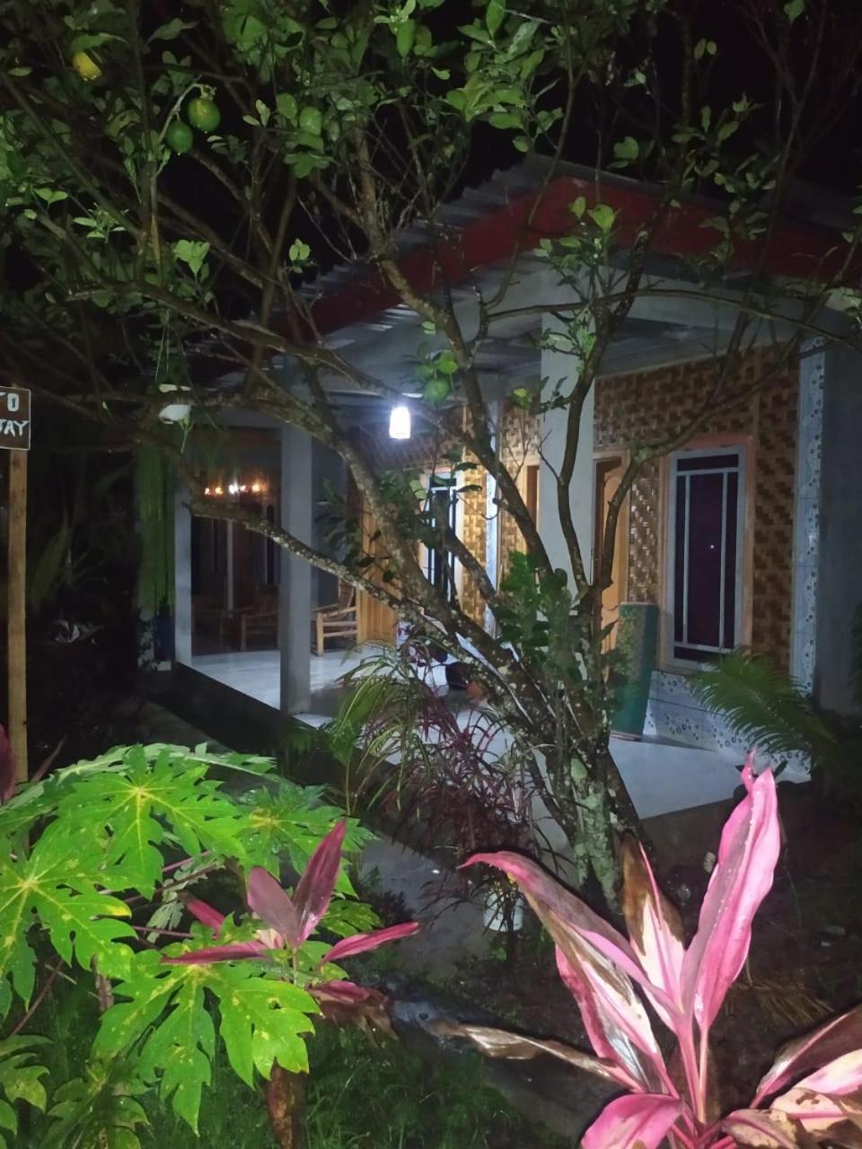 Eltari Homestay Tetebatu Buitenkant foto
