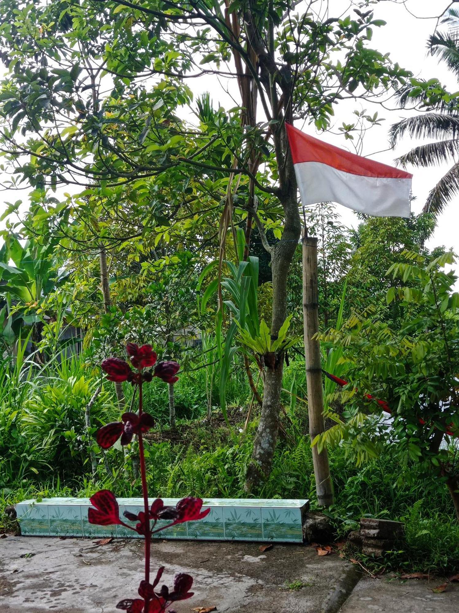 Eltari Homestay Tetebatu Kamer foto