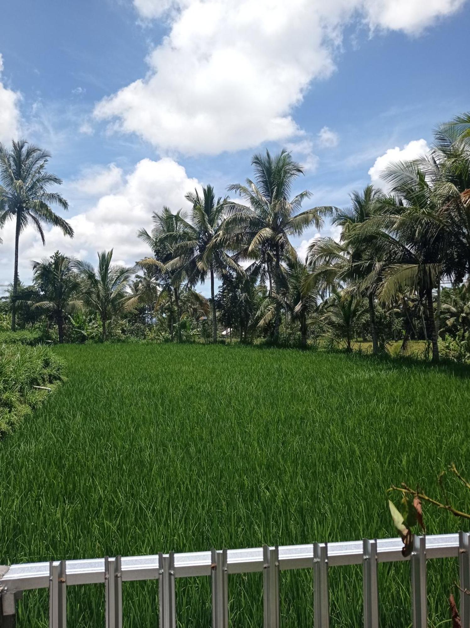 Eltari Homestay Tetebatu Buitenkant foto